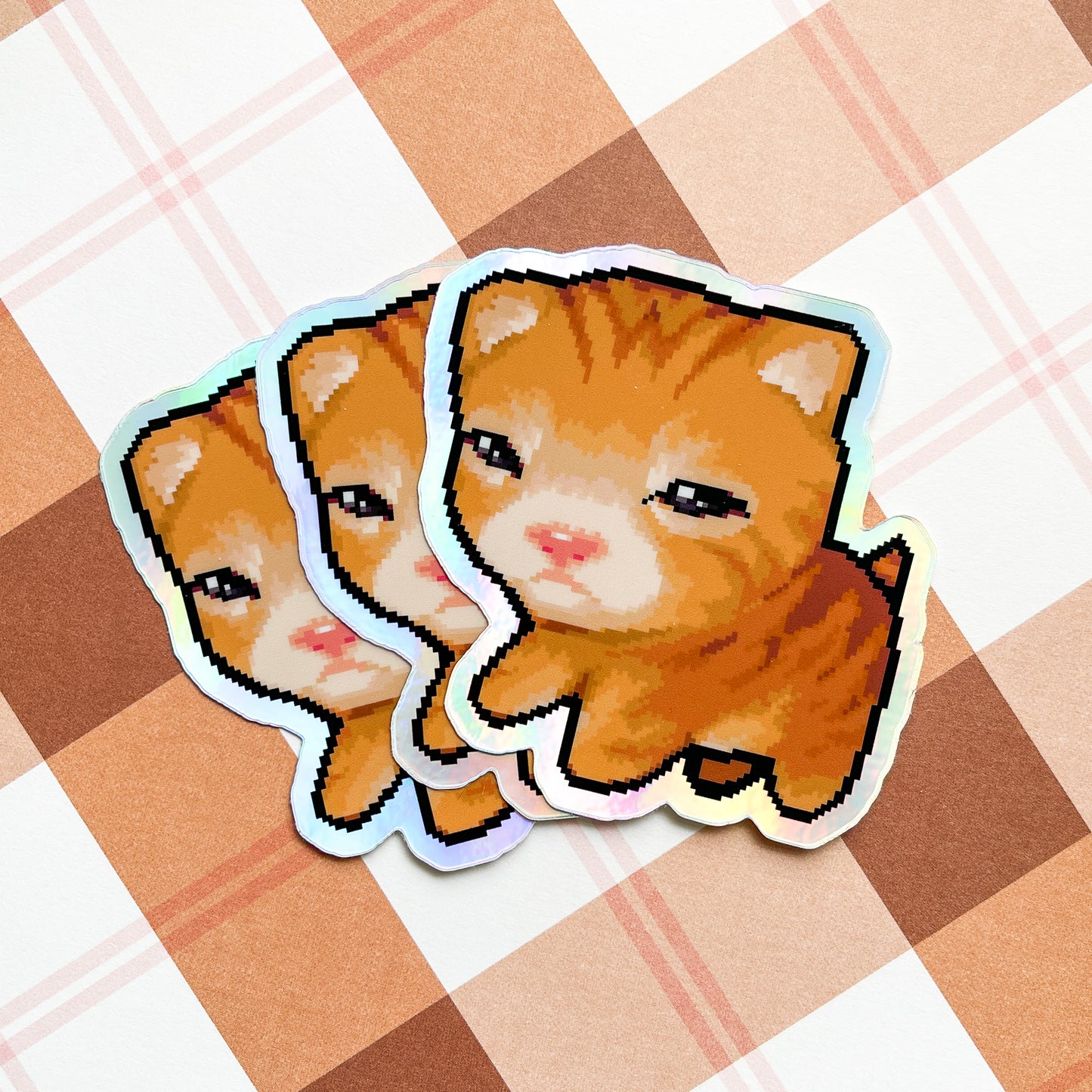 kittens - august 2025 patreon rewards