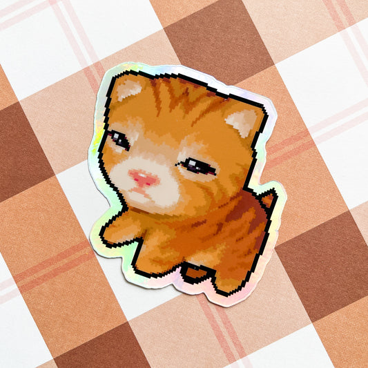 kittens - august 2025 patreon rewards