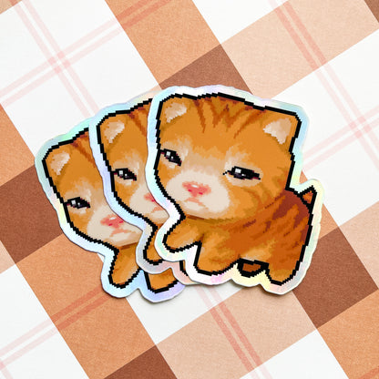 kittens - august 2025 patreon rewards